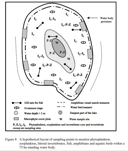 Report figure