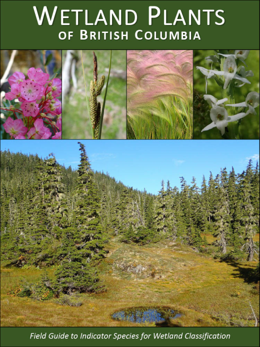 bc field guide