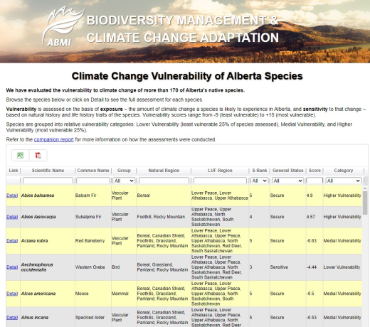 Screen shot of website