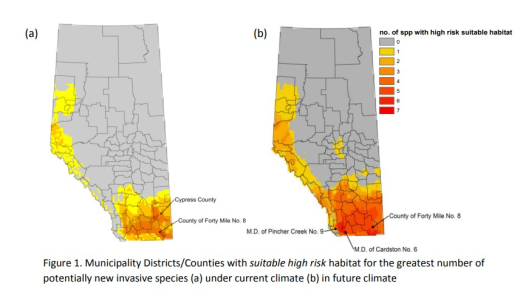 Invasive species risk map