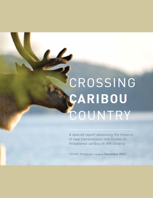 Report cover