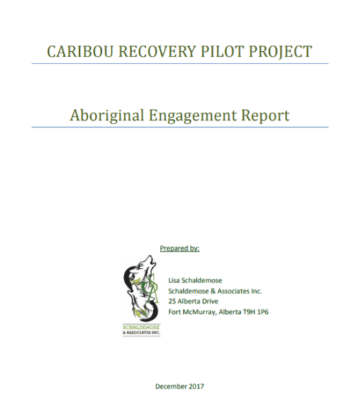 Cover-Pilot Project_Aboriginal Engagement 