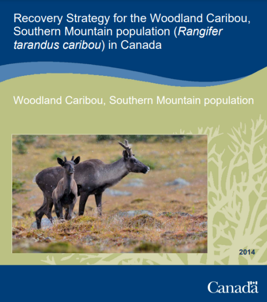 Cover- Recovery Strategy-Southern Mtn caribou