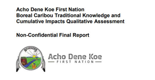 Report title and Acho Dene Koe First Nation logo