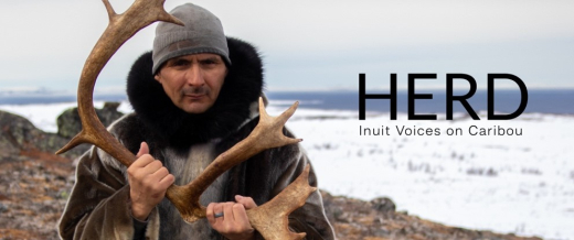 HERD video image