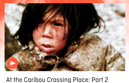 Face of a child