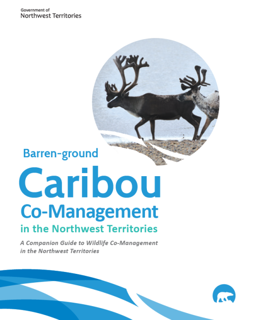 Report cover showing 2 caribou in a circle behind title