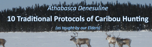 Picture of 4 caribou in snow behind report title