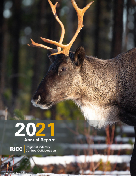 RICC 2021 Annual Report Cover Page Featuring Boreal Caribou