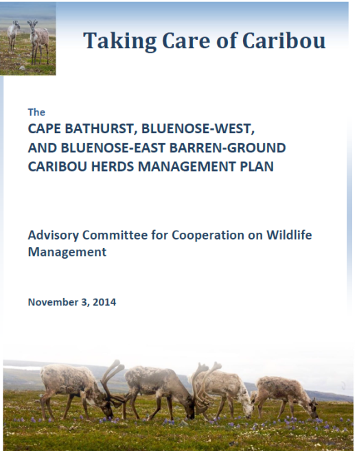 Report cover with photo of 4 caribou walking and feeding in tundra on bottom, and 1 smaller photo of 2 caribou standing on tundra at top left