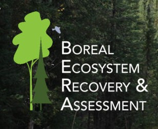 BERA Logo