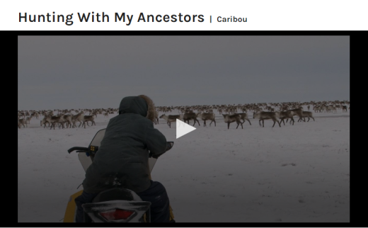 Image of the back of a person on a snowmobile, with a triangle indicating the 'play' icon for a video