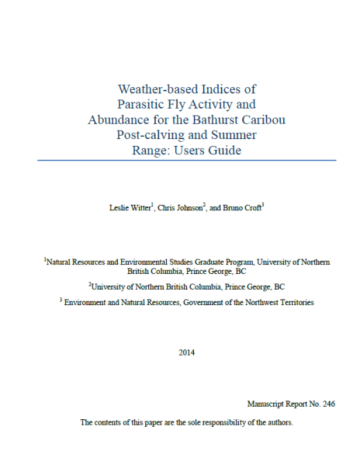 Report cover that is fully text (no images), including title, authors, organization and year