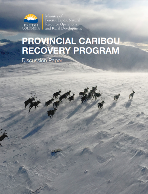 Provincial Caribou Recovery Program Discussion Paper Report Cover - herd of caribou running across a snowy mountain landscape