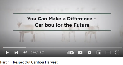 Text 'You Can Make a Difference- Caribou for the Future' is written above a washed out photo of caribou in the snow.