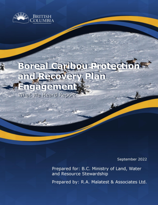Boreal Caribou Protection and Recovery Plan Engagement - What We Heard Report Report Cover