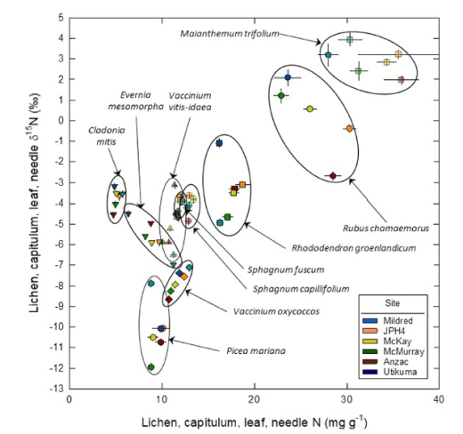 Lichen15N contents