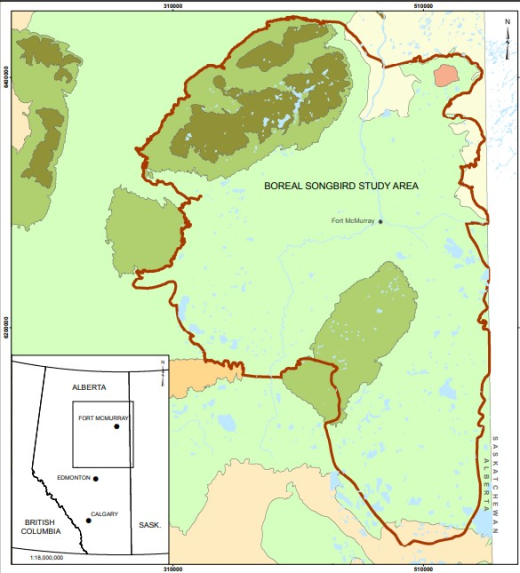 Songbird study area
