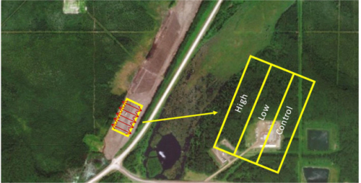 Airstrip biosolids trial layout