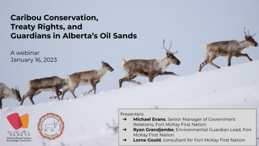 Webinar title slide