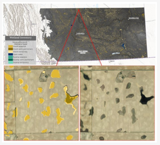 Remote sensing for wetland inventory