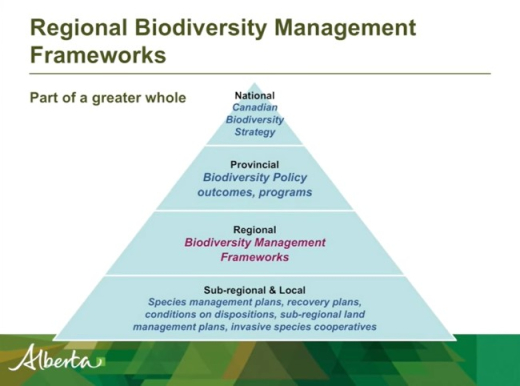 White - Biodiversity frameworks