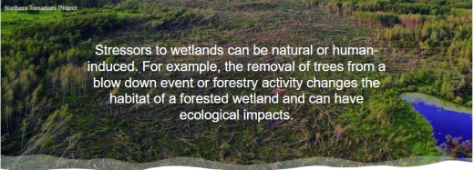 ABMI Wetland Atlas