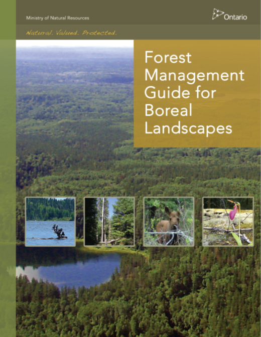 A report cover image showing a vast boreal landscape with four inset images highlighting a caribou, trees, a moose calf and a forest flower.