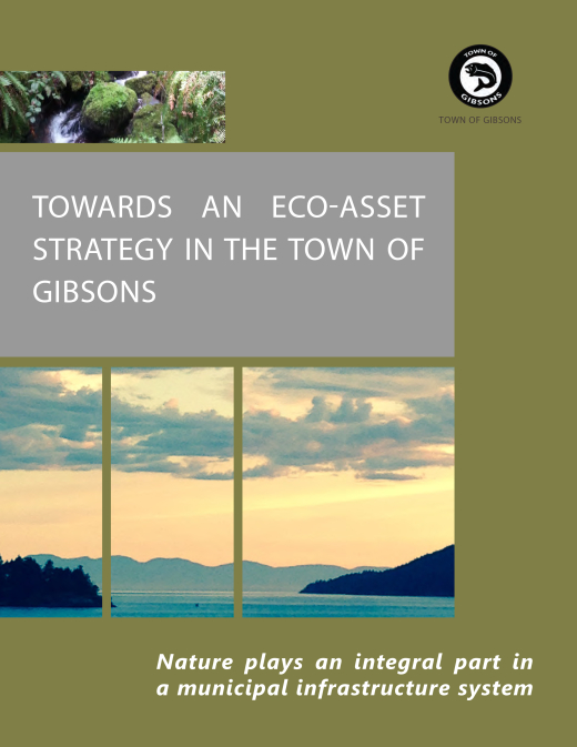 Eco-Asset-Strategy-1