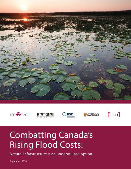 IBC-Natural-Infrastructure-Report-2018-1.jpg