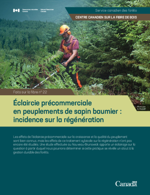 Forest brush sawing