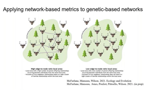 Population genetics
