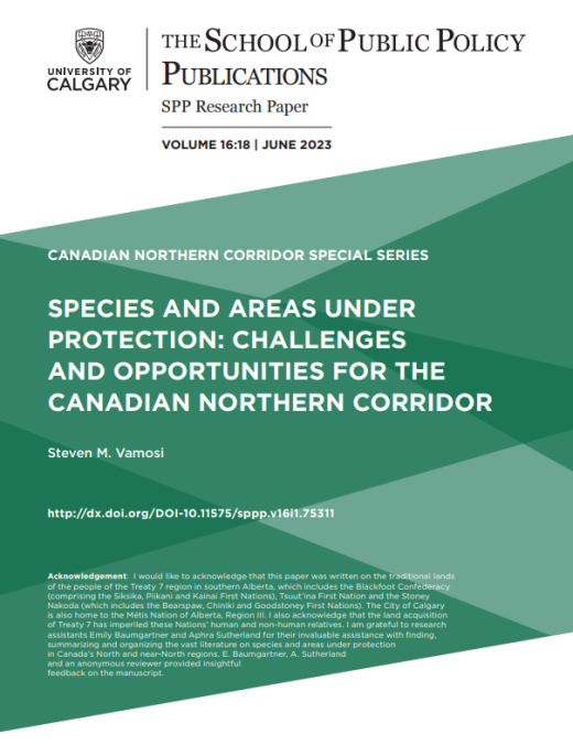 Report cover page