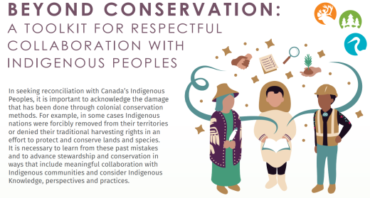 Brief for Beyond Conservation Toolkit