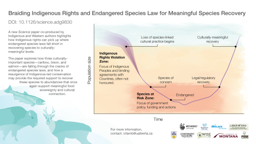 Infographic - Braiding Indigenous Rights and Endangered Species Law