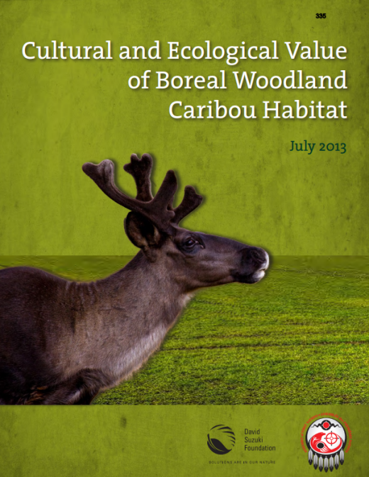 Cover page of report