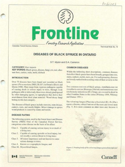 Front cover