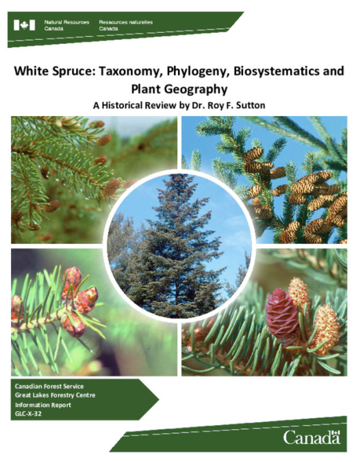 cover page