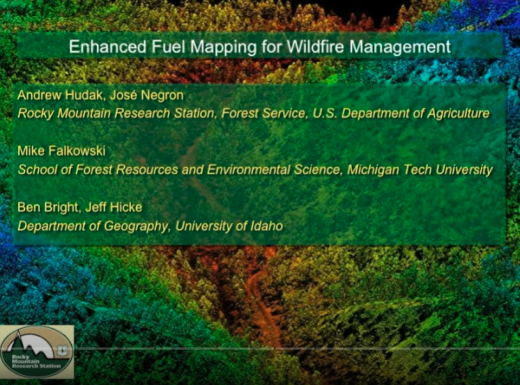 Hudak Fuel Mapping