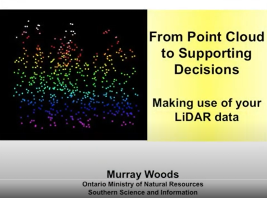 Woods point cloud