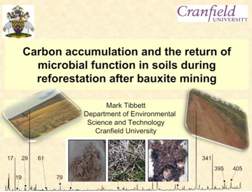 Tibbett carbon accumulation.png