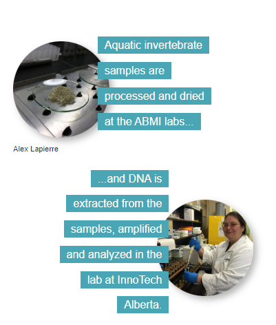 ABMI e-DNA