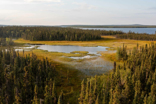 seal river