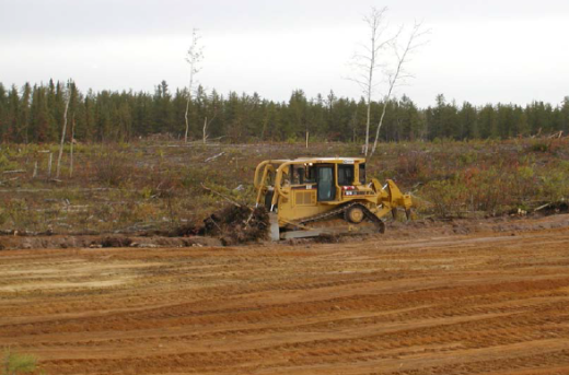 Soil Salvage
