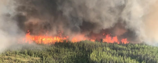 Wildfire