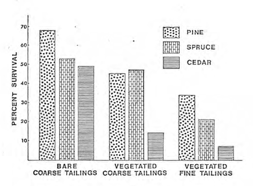 4-year tree survival on uranium tailings