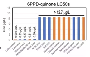 6PPD LC50