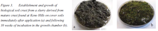 Soil crusts