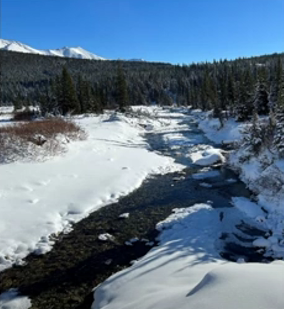 Headwaters stream