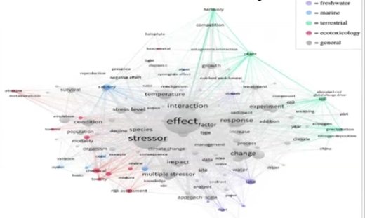 Stress - Effect Model
